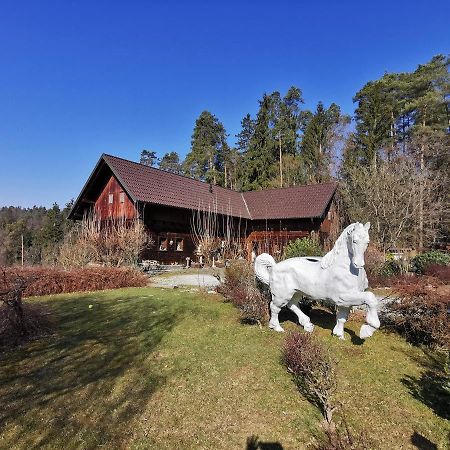 Ranch Kaja & Grom Hotel Vojnik Екстериор снимка