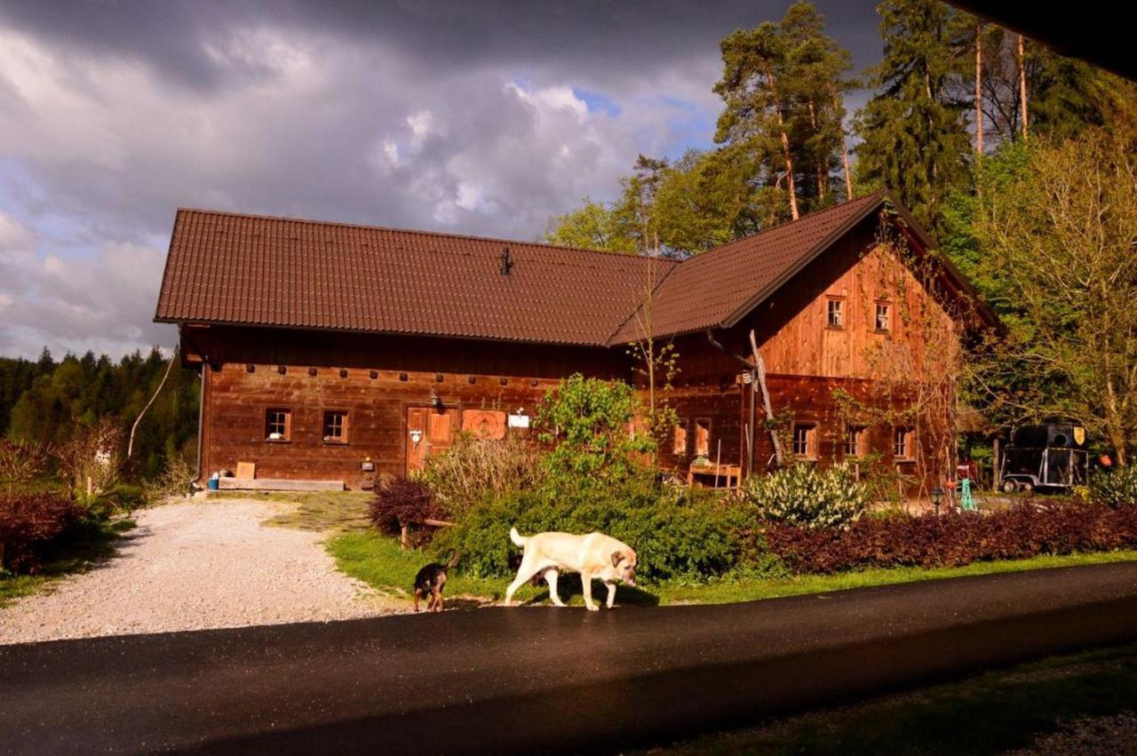 Ranch Kaja & Grom Hotel Vojnik Екстериор снимка